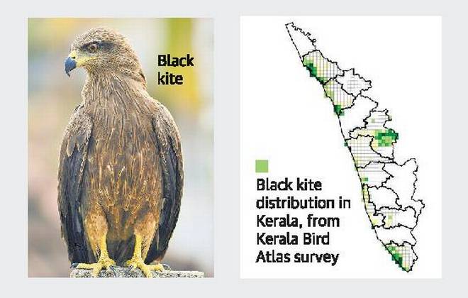eBirdഉം Kerala Bird Atlas പദ്ധതിയും