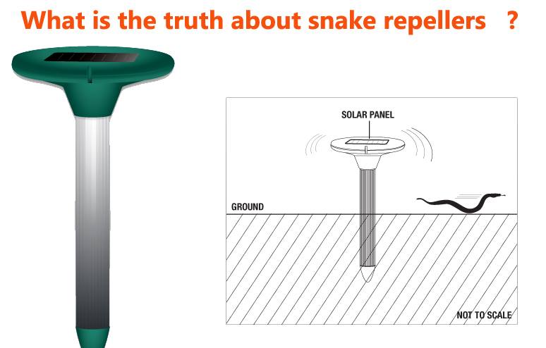 What is the truth about snake repellers ?