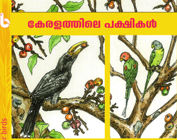 Birds of Kerala; Early Bird Pocket Guides