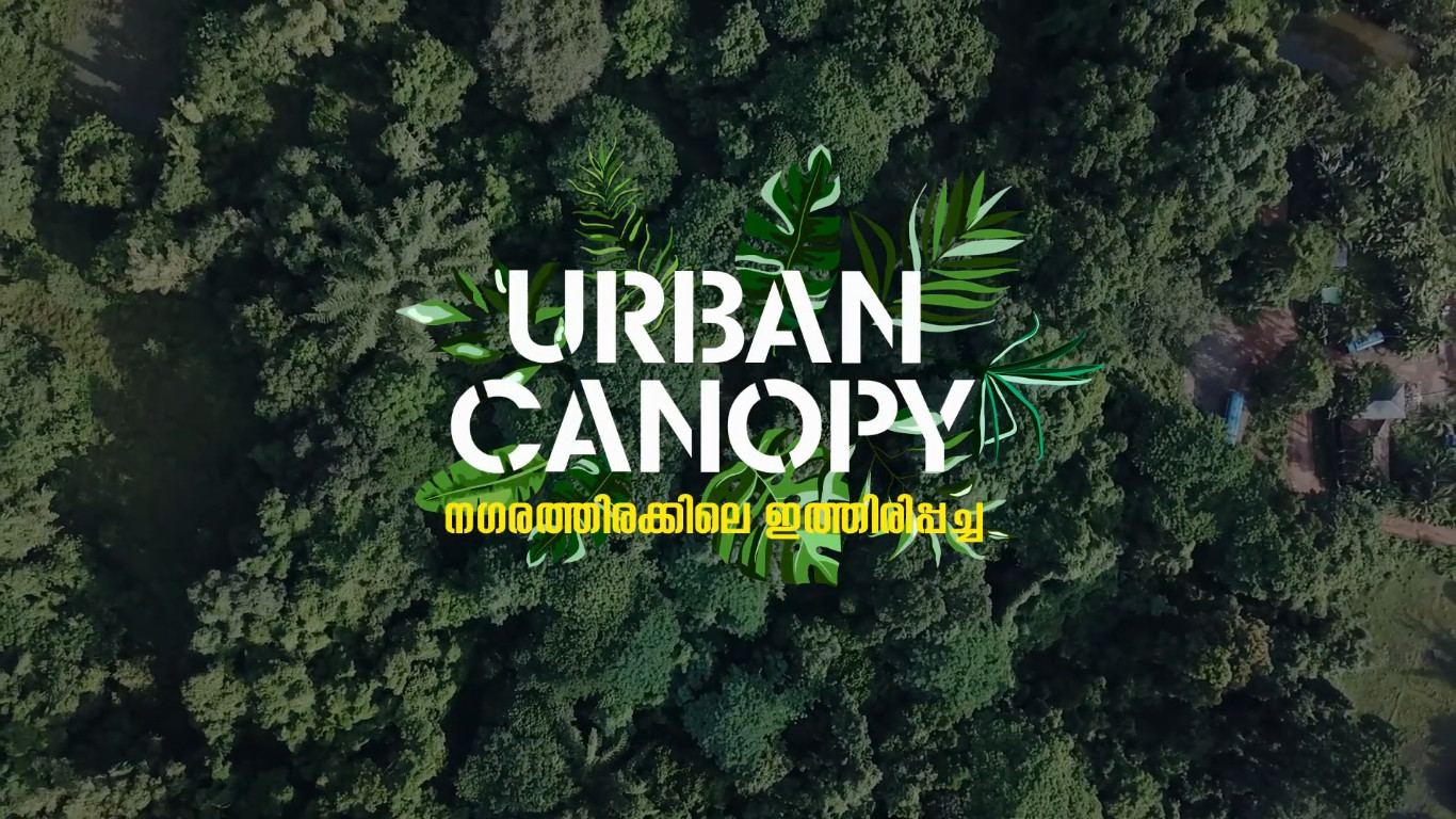 Urban Canopy – നഗരത്തിരക്കിലെ ഇത്തിരിപ്പച്ച