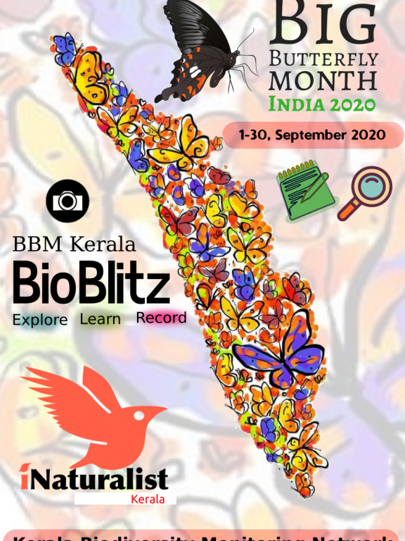 Big Butterfly Month Kerala 2020