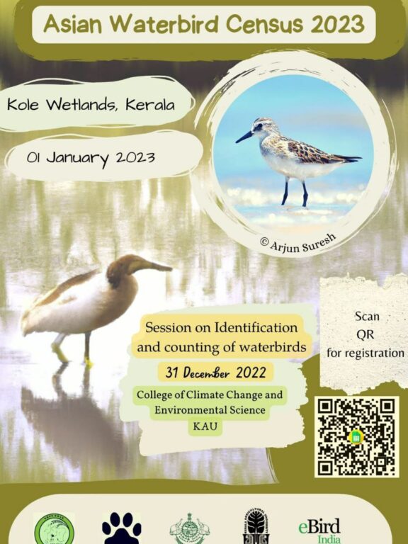 Asian Waterbird Census 2023 @ Kole Wetlands Kerala
