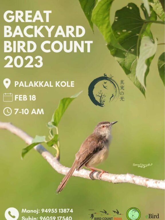 GBBC 2023 BirdWalk at Palakkal Kole