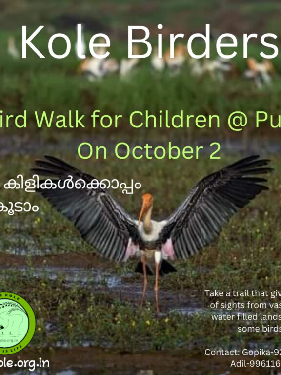 BirdWalk for Children at Kole Wetlands on 2 October 2023